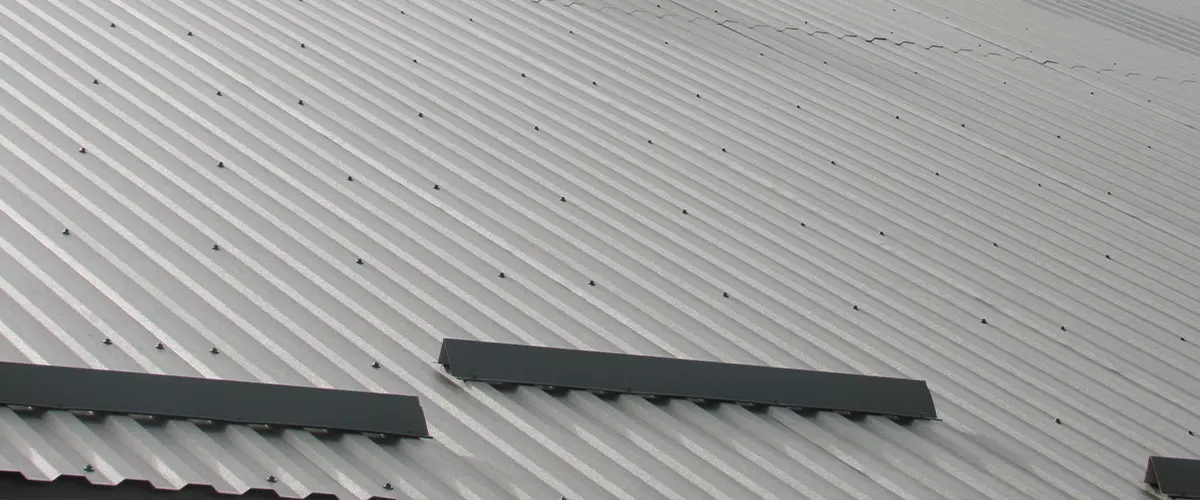 metal profile. roofing. replacement of coating for the house.